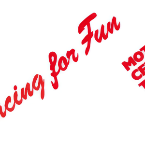 Bild von Swiss Racing for Fun