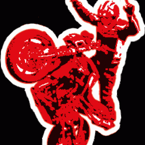 Bild von Dirk Manderbach – Wheelieschule "Stunt Your Life"